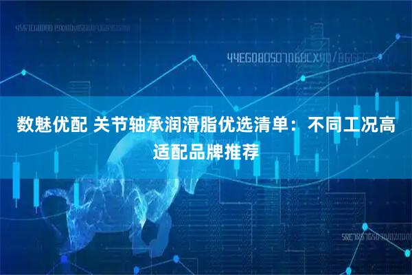 数魅优配 关节轴承润滑脂优选清单：不同工况高适配品牌推荐