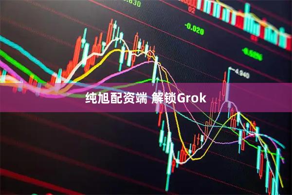 纯旭配资端 解锁Grok