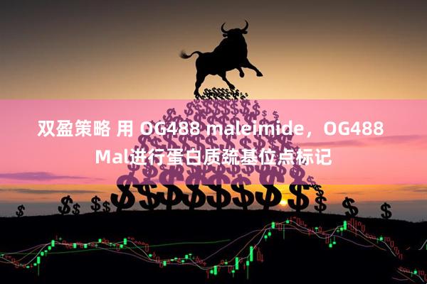 双盈策略 用 OG488 maleimide，OG488 Mal进行蛋白质巯基位点标记