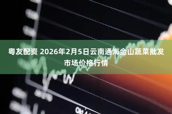 粤友配资 2026年2月5日云南通海金山蔬菜批发市场价格行情