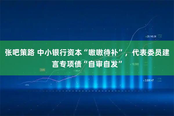 张吧策路 中小银行资本“嗷嗷待补”，代表委员建言专项债“自审自发”