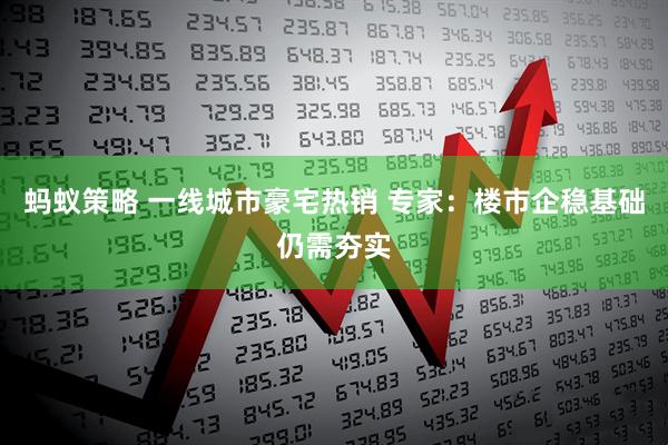 蚂蚁策略 一线城市豪宅热销 专家：楼市企稳基础仍需夯实