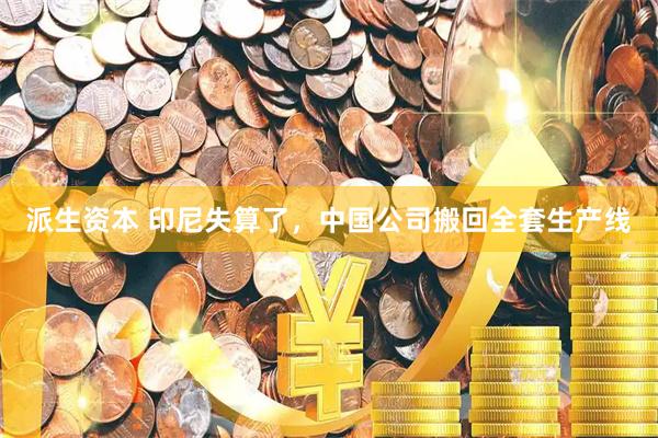 派生资本 印尼失算了，中国公司搬回全套生产线