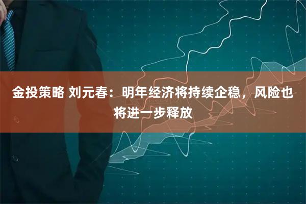 金投策略 刘元春：明年经济将持续企稳，风险也将进一步释放