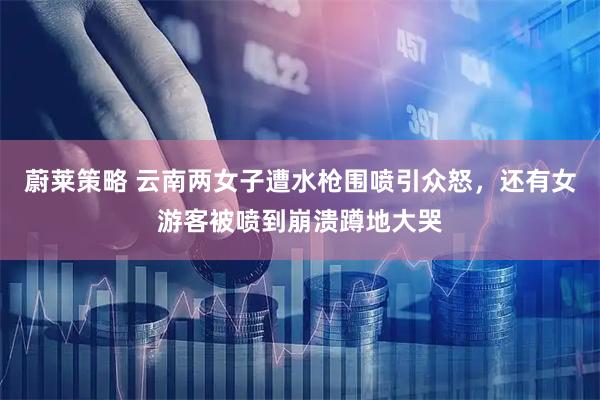 蔚莱策略 云南两女子遭水枪围喷引众怒，还有女游客被喷到崩溃蹲地大哭