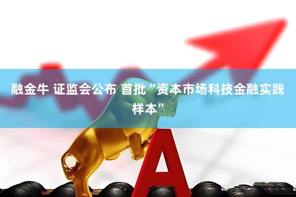 融金牛 证监会公布 首批“资本市场科技金融实践样本”