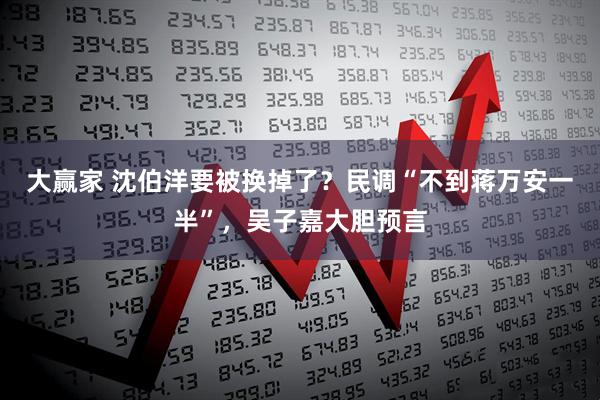 大赢家 沈伯洋要被换掉了？民调“不到蒋万安一半”，吴子嘉大胆预言