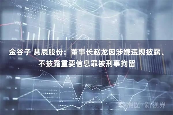 金谷子 慧辰股份：董事长赵龙因涉嫌违规披露、不披露重要信息罪被刑事拘留